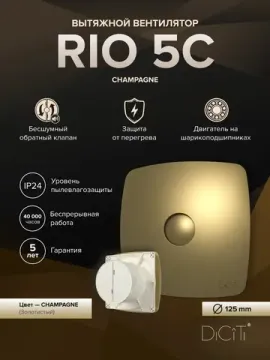 Вентилятор накладной RIO D125 обратный клапан Сhampagne DICITI