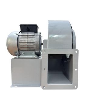 Вентилятор радиальный BURAN PRO 200 220V Пр0 2полюс ERA PRO