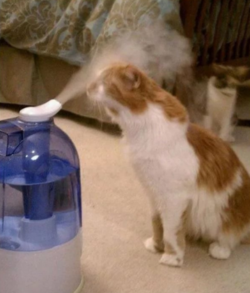 Какой увлажнитель воздуха выбрать