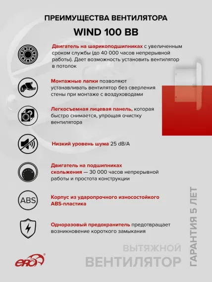 Вентилятор накладной WIND D100 двигатель BB ERA