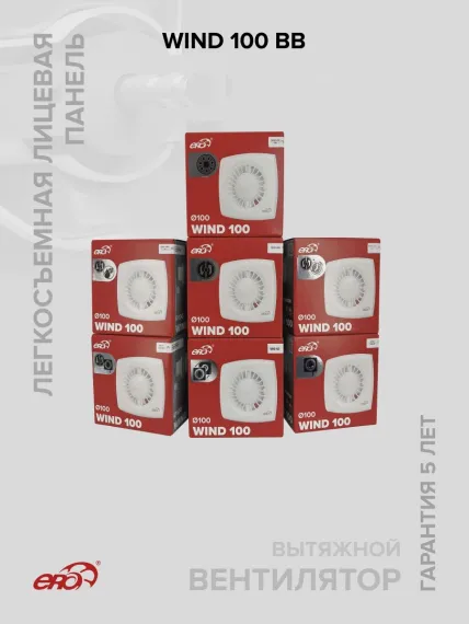 Вентилятор накладной WIND D100 двигатель BB ERA