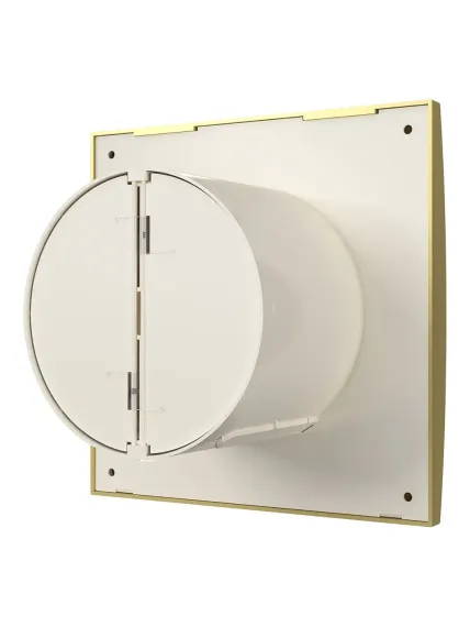 Вентилятор накладной ERA DiCiTi AURA 5C champagne d125 с обратным клапаном
