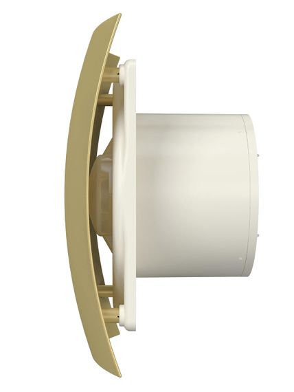 Вентилятор накладной BREEZE D125 обратный клапан Champagne DICITI